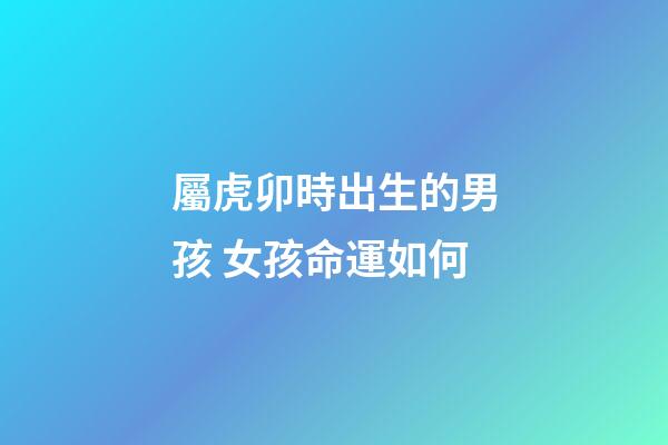 屬虎卯時出生的男孩 女孩命運如何